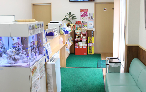 カワムラ薬局 内観